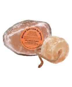Pink Himalayan Salt Lick