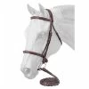 Premium Padded English Bridle