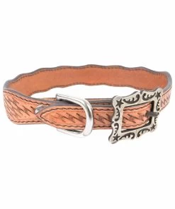 Equibrand Dog Collar